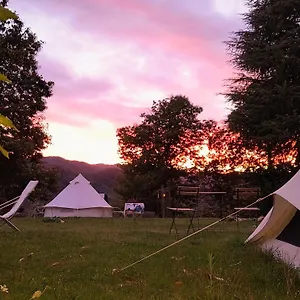 camping-musetti-angela.it-tuscanyhotel.com/